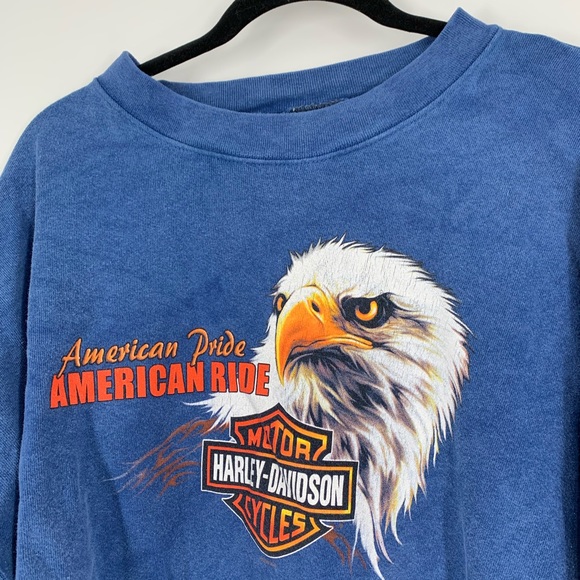 Harley Davidson Flaming Gorge Men’s Sweatshirt - Picture 3 of 13